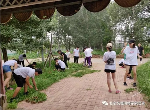 北京文理研修學院夏令營之——芝心園生態(tài)農(nóng)場 北京文理研修學院夏令營之——芝心園生態(tài)農(nóng)場